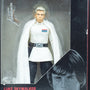 2018 Star Wars The Black Series R1 Director Krennic Action Figure - Loose