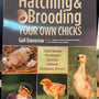Hatching & Brooding Your Own Chicks