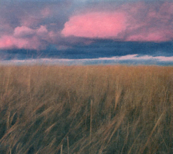 Neil Young - Prairie Wind (2005) CD 