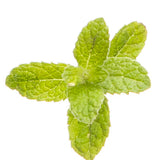 doTerra Peppermint Oil - 15ml
