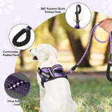 Service Dog Vest Harness and Leash Set -Small (New)