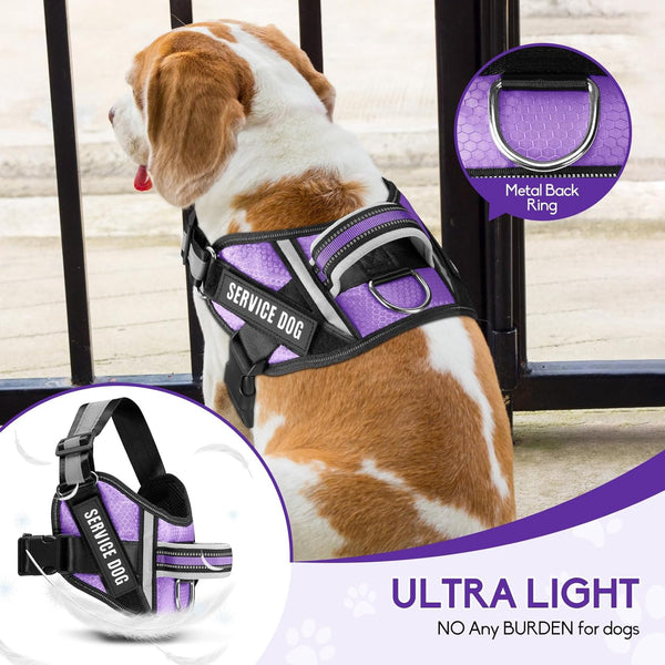 Service Dog Vest Harness and Leash Set -Small (New)