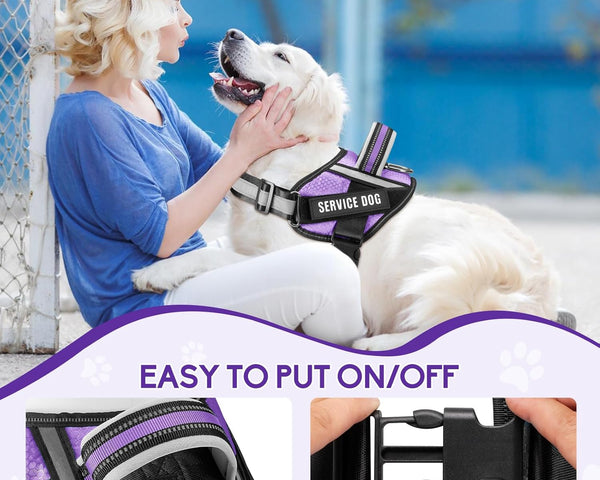 Service Dog Vest Harness and Leash Set -Small (New)