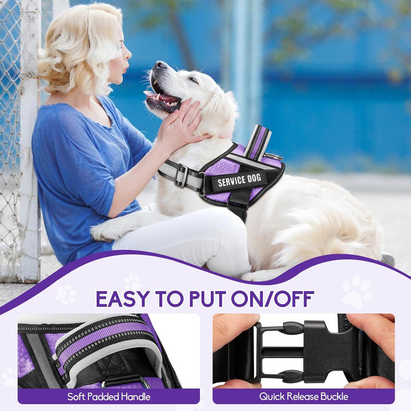 Service Dog Vest Harness and Leash Set -Small (New)