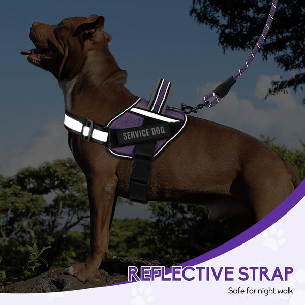 Service Dog Vest Harness and Leash Set -Small (New)