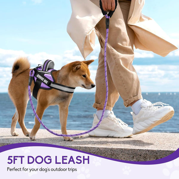 Service Dog Vest Harness and Leash Set -Small (New)