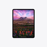 Apple 11-inch iPad Pro Wi-Fi 256GB with standard glass - Space Black - New, Sealed