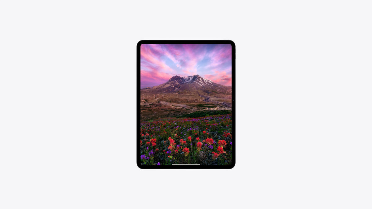 Apple 11-inch iPad Pro Wi-Fi 256GB with standard glass - Space Black - New, Sealed