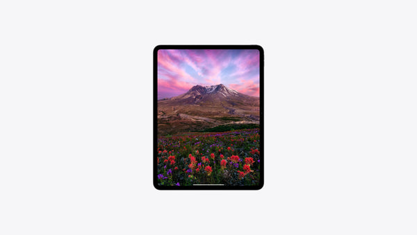 Apple 11-inch iPad Pro Wi-Fi 256GB with standard glass - Space Black - New, Sealed