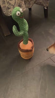 Dancing & Singing Cactus Toy with shiba inu dog - New