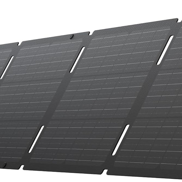 EcoFlow 60w Portable Solar Panel - New