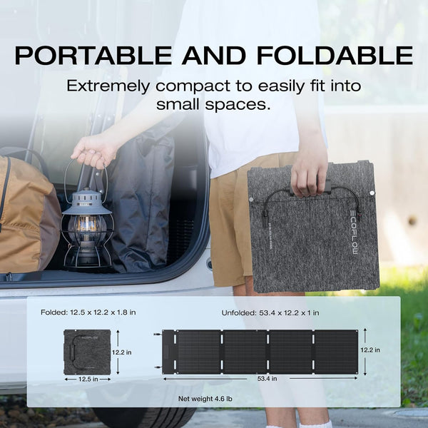 EcoFlow 60w Portable Solar Panel - New