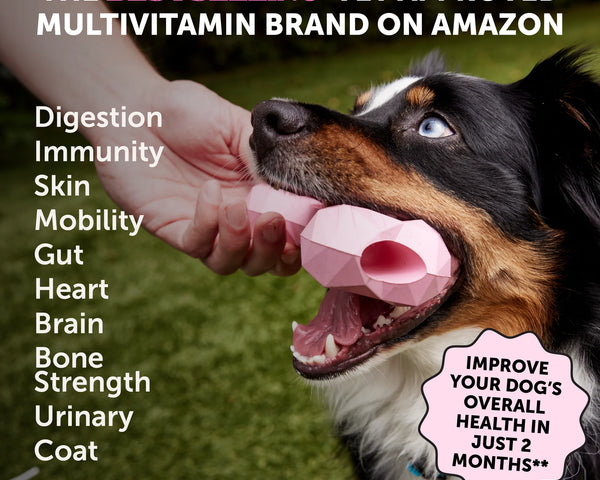 Pet Honesty Multivitamin for Dogs 10-in-1 (Peanut Butter Flavour)