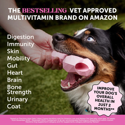 Pet Honesty Multivitamin for Dogs 10-in-1 (Peanut Butter Flavour)