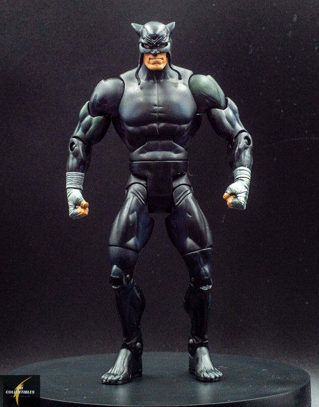 2009 DC Universe Classics Wave 9 Figure 1 Wildcat - Black Variant - Action Figure - Loose