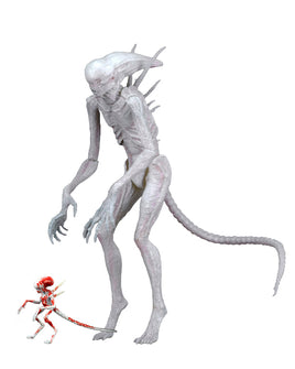 2017 Alien: Covenant Neomorph 7" Action Figure