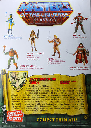 2010 Masters of the Universe Classics Battleground Teela Action Figure