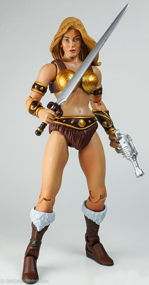 2010 Masters of the Universe Classics Battleground Teela Action Figure