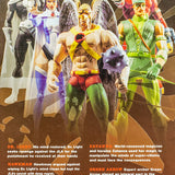 2005 DC Direct Identity Crisis Series 1: Hawkman - Action Figure