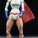 2009 DC Universe Classics Power Girl Action Figure - Loose