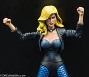 2008 DC Universe Classics Wave 9 Black Canary Action Figure - Loose