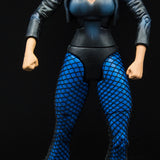 2008 DC Universe Classics Wave 9 Black Canary Action Figure - Loose