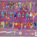 2015 DC Superhero Limited Edition Series 4 Two-Packs -  *RARE* The Riddler & Catwoman 8