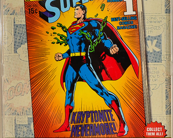 2017 Figures Toy Co World's Greatest Heroes Superman 8" Limited Edition of 500 Action Figure