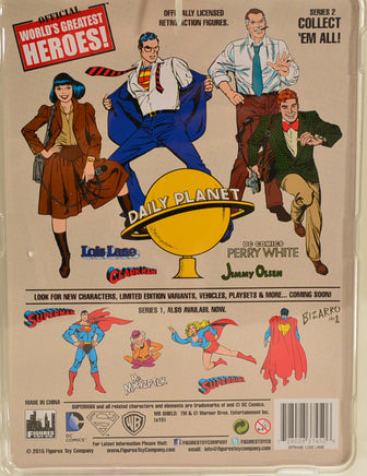 2015 Worlds Greatest Heroes Superman Series 2 Lois Lane Action Figure