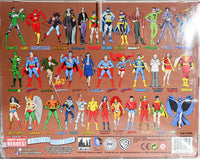 2015 DC Comics Series 3 Hero Team-ups Two Pack - Batman & Wonder Woman Limited Edition Action Figures