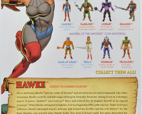 2017 Super 7 Masters of the Universe Classics Hawke Action Figure