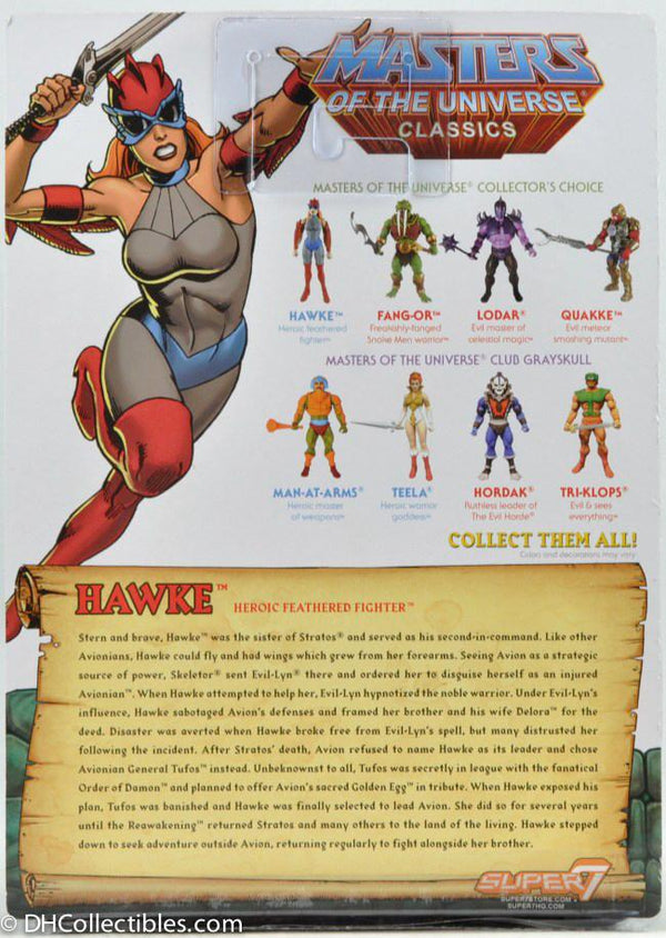 2017 Super 7 Masters of the Universe Classics Hawke Action Figure