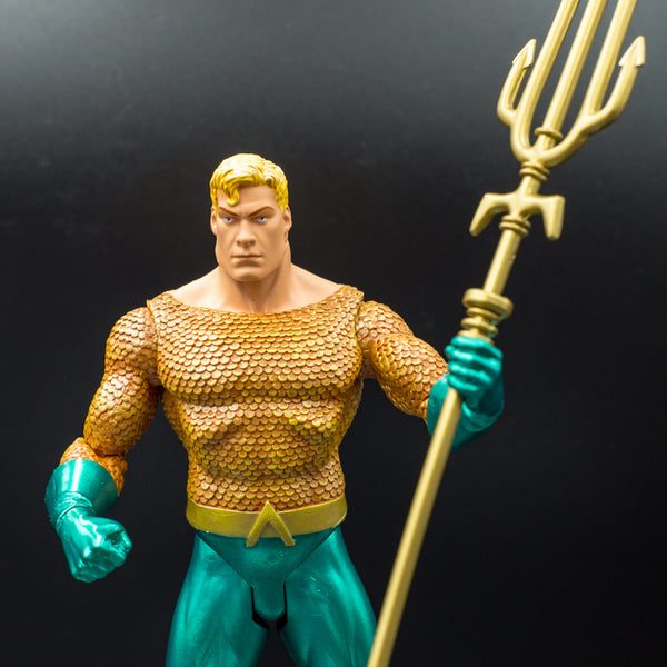 2005 DC Direct Alex Ross Justice League Series 2 Aquaman Action Figure - Loose