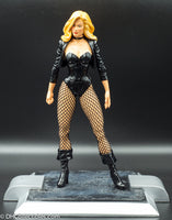 2005 DC Direct Alex Ross Justice League Series 2 Black Canary Action Figure - Loose