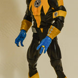 2008 DC Universe Classics Sinestro Corps Low Action Figure - Loose