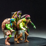 2014 TMNT 2