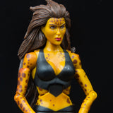 2010 DC Universe Classics Wave 13 Cheetah Action Figures (Modern & Classic) - Loose