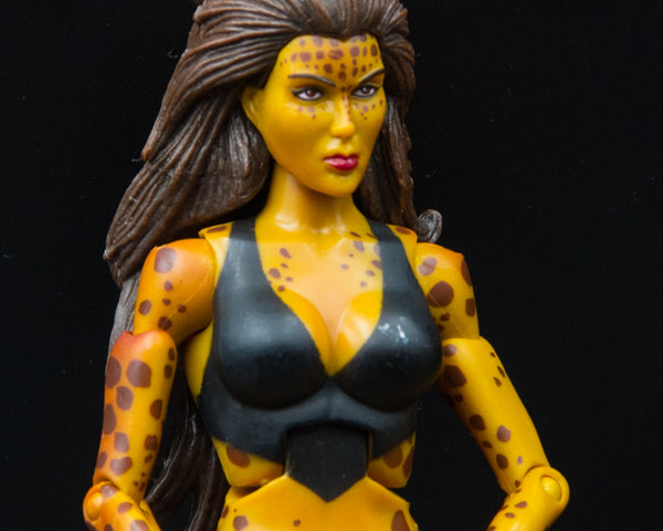 2010 DC Universe Classics Wave 13 Cheetah Action Figures (Modern & Classic) - Loose