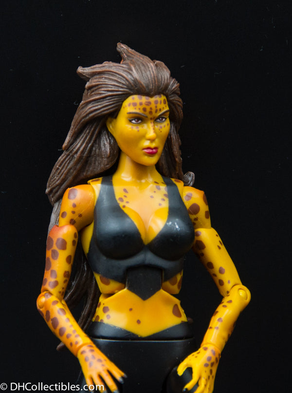 2010 DC Universe Classics Wave 13 Cheetah Action Figures (Modern & Classic) - Loose