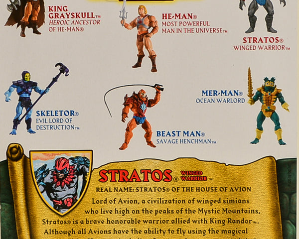 2009 Masters of the Universe Classics Stratos Action Figure