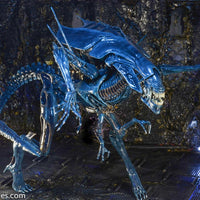2014 NECA Aliens Xenomorph Queen Ultra-Deluxe Action Figure