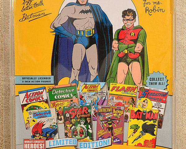 Figures Toy Co. - World's Greatest Heroes Series - Robin The Boy Wonder Action Figure 8" Mego Retro