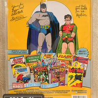 Figures Toy Co. - World's Greatest Heroes Series - Robin The Boy Wonder Action Figure 8" Mego Retro