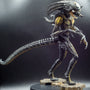 2007 NECA Alien vs Predator Predalien Vintage Action Figure - Loose