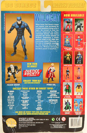DC Direct  - Justice Society of America - Wildcat Action Figure
