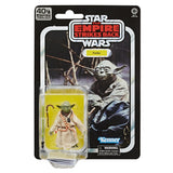 2019 Kenner Star Wars 40th Anniversary Yoda Action Figure