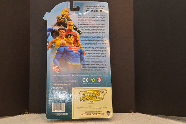 2007 DC Direct JLA Series 1 Vixen -  Action Figure