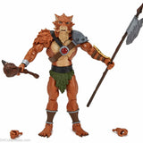 2016 Mattel Thundercats Classics Club Third Earth Jackalman Action Figure