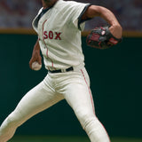 2002 McFarlane MLB Series 1 - Pedro Martinez Action Figure