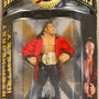 Jakks WWE Classic Superstars, Collector Series - Hunter Hearst Helmsley Triple H